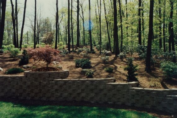 beautiful stone masonry separating lawn from forest